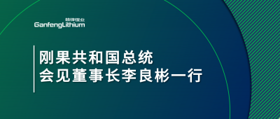 刚果共和国总统会见壹定发锂业董事长李良彬一行