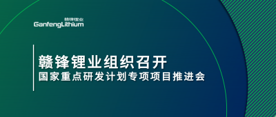 壹定发锂业组织召开国家重点研发妄想专项项目锂工业集聚区循环化升级集成手艺及树模推进会